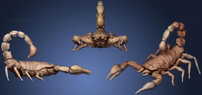 3D model Desert Scorpion (STL)